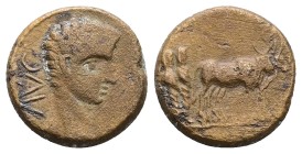 Macedon, Philippi. Augustus, 27 BC-AD 14. AE. 4.44 g. 16.44 mm.
Obv: AVG. Bare head of Augustus, right.
Rev: Two founders driving yoke of oxen right...
