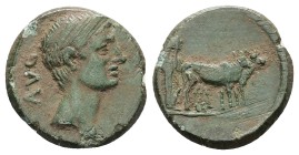 Macedon, Philippi. Augustus, 27 BC-14 AD. AE. 3.49 g. 18.09 mm.
Obv: AVG. Bare head of Augustus, right.
Rev: Two priests ploughing, right.
Ref: RPC...