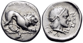 LUCANIA. Velia. Circa 400-340 BC. Didrachm or nomos (Silver, 22 mm, 7.55 g, 6 h). Lion crouching right; in exergue, owl perched right on olive branch,...