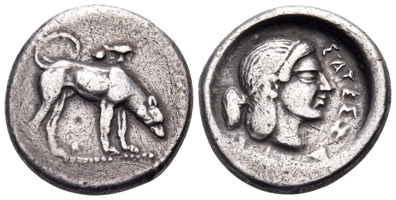 SICILY. Segesta. Circa 475/70-455/50 BC. Didrachm (Silver, 21 mm, 8.32 g, 10 h)....
