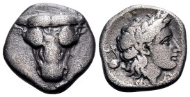 PHOKIS, Federal Coinage. Circa 354-352 BC. Triobol (Silver, 15 mm, 2.59 g, 11 h). Head of a bull facing. Rev. Φ-Ω Laureate head of Apollo to right; be...