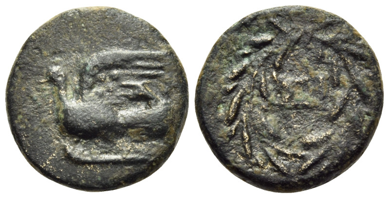 SIKYONIA. Sikyon. Circa 196-146 BC. (Bronze, 14 mm, 2.69 g, 5 h). Dove flying to...