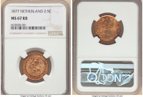 Willem III 2-1/2 Cent 1877 MS67 Red and Brown NGC, Utrecht mint, KM108.1. Flares of vivid luminescent pastels over mostly red surfaces. 

HID098012420...