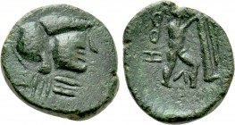 EASTERN EUROPE. Imitations of Antigonos II Gonatas of Macedon (2nd-1st centuries BC). Ae.