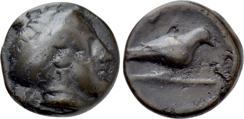 UNCERTAIN. Ae (Circa 4th century BC). 

Obv: Head (of Artemis?) right.
Rev: D...