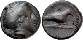 UNCERTAIN. Ae (Circa 4th century BC).