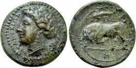 SICILY. Syracuse. Agathokles (317-289 BC). Ae.