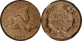 1857 Flying Eagle Cent. Unc Details--Cleaned (NGC).

PCGS# 2016. NGC ID: 2276.

Estimate: $ 400