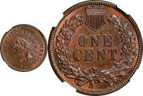 1885 Indian Cent. MS-64 BN (NGC).

PCGS# 2151. NGC ID: 228C.

Estimate: $ 200