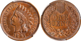 1891 Indian Cent. Snow-3, FS-301. Repunched Date. MS-62 BN (PCGS). CAC.

PCGS# 37561. NGC ID: 228K.

Ex Joseph J. Haney Collection.

Estimate: $...