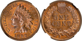 1892 Indian Cent. MS-64 RB (NGC).

PCGS# 2182. NGC ID: 228L.

Estimate: $ 250