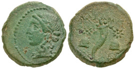 "Mysia, Adramytion. 2nd century B.C. AE 20 (19.8 mm, 6.19 g, 12 h). Laureate Apollo head left / Corncucopia between caps of the Dioskouroi. Von Fritze...