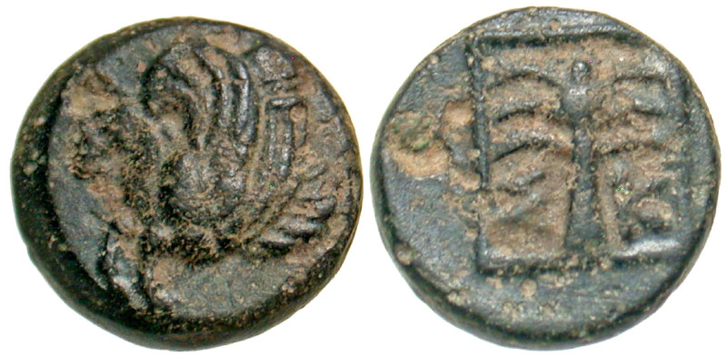 "Troas, Skepsis. Anonymous Civic Issue. 4th century B.C. AE 11 (10.5 mm, 1.22 g,...