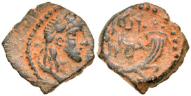 "Nabataean Kingdom, Petra. Rabbel II, with Gamilat II. A.D. 70-106. AE 17 (16.9 mm, 2.45 g, 12 h). anepigraphic, Conjoined heads of Rabbel II and (off...