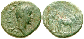 "Macedon, Philippi(?). Drusus. Caesar, A.D. 19-23. AE 18 (17.9 mm, 4.41 g, 1 h). DRV CAES, bare head of Drusus right / Pontiff driving team of oxen ri...
