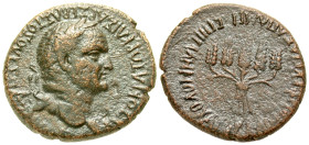 "Bithynia, Uncertain Mint. Vespasian. A.D. 69-79. AE 25 (25.3 mm, 9.47 g, 12 h). Marcus Plancius Varus, proconsul. ΑΥΤΟΚΡΑΤΩΡ ΚΑΙΣΑΡ ΣΕΒΑΣΤΟΣ ΟΥΕΣΠΑΣΙ...