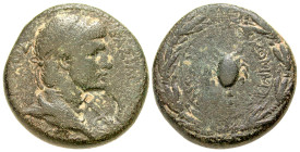 "Kings of Commagene. Antiochos IV Epiphanes. A.D. 38-72. AE 26 (25.7 mm, 13.16 g, 7 h). BAΣIΛEΩΣ MEΓAΣ ANTIOXOΣ, diademed and draped bust right; c/m: ...