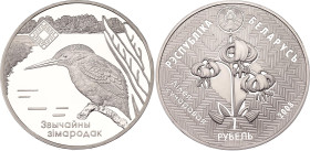 Belarus 1 Rouble 2008
KM# 313, N# 25362; Copper-Nickel., Proof–like; Lipichanskaya Pushcha Wildlife Reserve; Mintage 5000 pcs; UNC