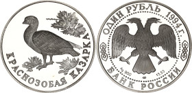 Russian Federation 1 Rouble 1994
Y# 372, N# 28073; Silver., Proof; Red Book Series, Red - breasted Goose