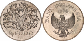 Indonesia 5000 Rupiah 1974
KM# 40, N# 13963; Silver; Orangutan; UNC