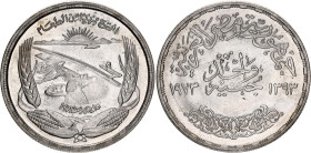 Egypt 1 Pound 1973 AH 1393
KM# 439, N# 24339; Silver; Aswan Dam - FAO; UNC