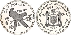 Belize 1 Dollar 1974 FM
KM# 43a, N# 21399; Silver., Proof; Avifauna of Belize - Scarlet Macaw