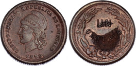 Honduras 1 Centavo 1879 Double Strike
KM# 40, N# 25528; XF with env. damage