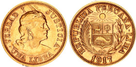Peru 1 Libra 1917
KM# 207, N# 46644; Gold (.916) 7.98 g.; XF/AUNC