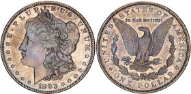 United States 1 Dollar 1883
KM# 110, N# 1492; Silver; XF