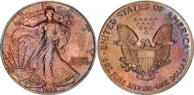 United States 1 Dollar 1986
KM# 273, N# 1493; Silver; "American Silver Eagle"; UNC with amazing toning
