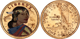 United States 1 Dollar 2000 P
KM# 310, N# 923; Colorized; "Sacagawea Dollar"; UNC
