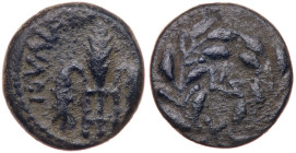 Judaea, Procuratorial. Pontius Pilate. Æ Prutah (1.63 g), 26-36 CE.. VF