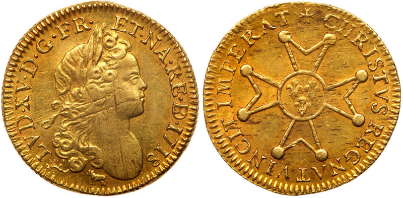 France. Louis XV (1715-1774). Gold Louis d'or a la croix de Malte, 1718-R. Pau m...