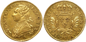 France. Louis XVI (1774-1793). Gold Louis d'or aux palmes, 1774-A (Paris)