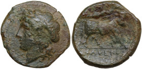 Greek Italy. Samnium, Southern Latium and Northern Campania, Cales. AE 21.5 mm, c. 265-240 BC. Obv. Head of Apollo left. Rev. Man-faced bull advancing...