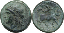 Greek Italy. Samnium, Southern Latium and Northern Campania, Suessa Aurunca. AE 20.5 mm, c. 265-240 BC. Obv. Head of Apollo left, wearing laurel wreat...