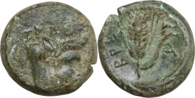 Greek Italy. Bruttium(?), Breig. AE 18 mm. (Hemiobol?), c. 340-320 BC. Obv. Head and shoulder of bearded man-faced bull (river-god?) right; above, TPA...