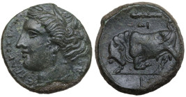 Sicily. Syracuse. Hieron II (275-215 BC). AE 19.5 mm, c. 275-269 BC. Obv. ΣYPAKOΣIΩN. Head of Kore left, wearing wreath of grain ears, earring and nec...