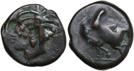Punic Sardinia. AE 17 mm., c. 350/40-320/300 BC. Overstruck on Triptolemos/Horse left AE. Obv. Palm. Rev. Horse 's head. Lulliri pl. 1, 1; SNG Cop. 10...