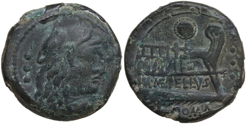 M. Caecilius Q. f. Q. n. Metellus. AE Quadrans, c. 127 BC. Obv. Head of Hercules...