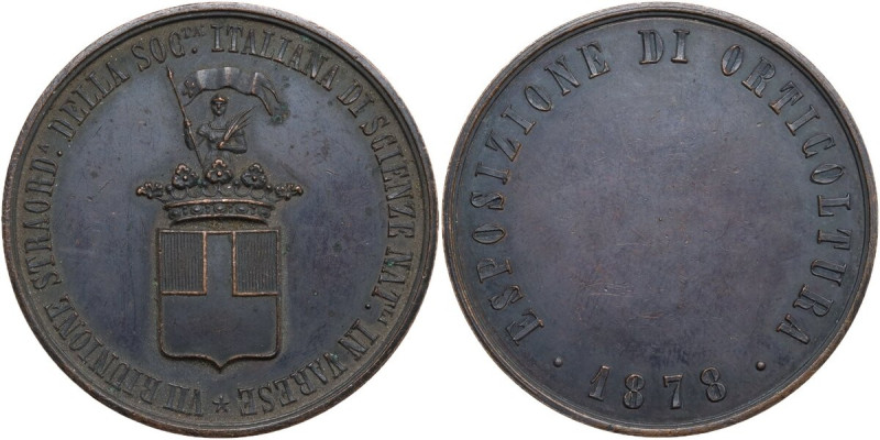 Medaglia 1878 per l'esposizione di orticultura in Varese in occasione della VII ...