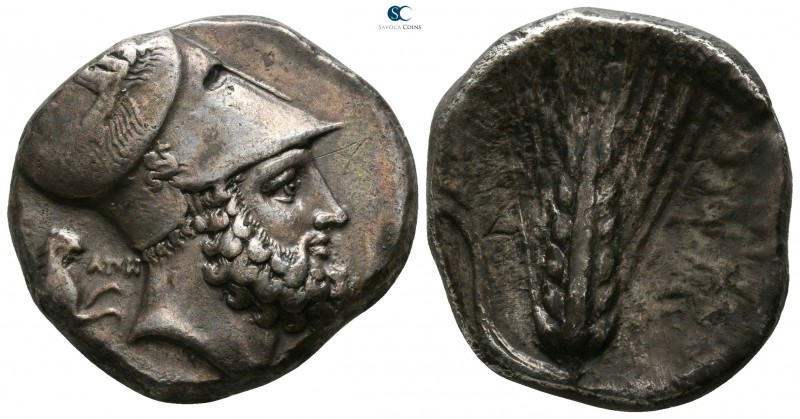 Lucania. Metapontion. ΑΠΗ- (Ape-), ΑΜΙ- (Ami-), magistrates 340-330 BC. 
Distat...