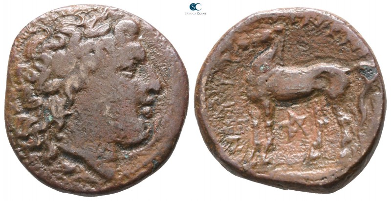 Bruttium. Nuceria circa 225-220 BC. 
Bronze Æ

19mm., 8,07g.

Laureate head...