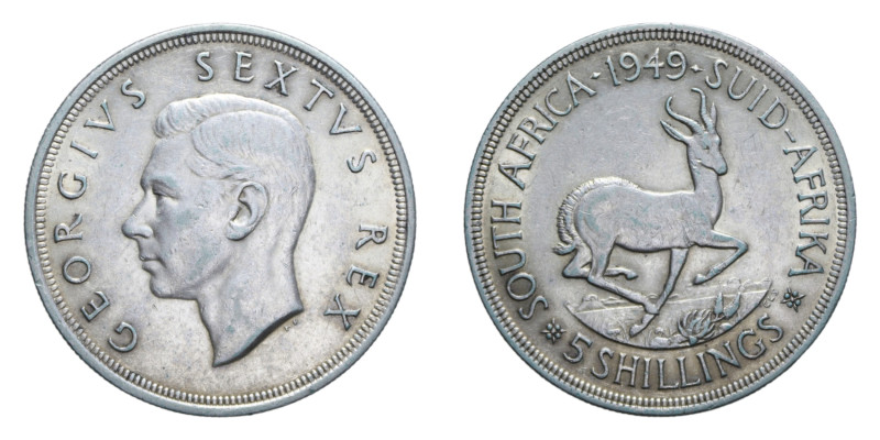 SUD AFRICA GIORGIO VI 5 SHILLINGS 1949 AG. 28,26 GR. qSPL (SEGNETTI)