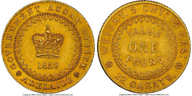 South Australia. British Colony - Victoria gold "Adelaide" Pound 1852 MS62+ NGC, KM2, Fr-3, Rennik-pg. 21, McDonald-pg. 41. Type II reverse with denti...