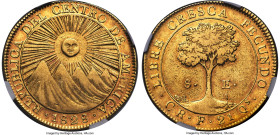 Central American Republic gold 8 Escudos 1828 CR-F XF45 NGC, San Jose mint, KM17, Fr-1. Mintage: 5,302. A wholly respectable representative of the sou...