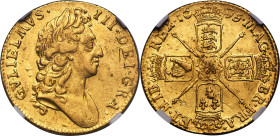William III gold Guinea 1695 AU Details (Cleaned) NGC, KM488.1, S-3458. Here, the famed William of Orange is awash in shades of peach-gold while the e...