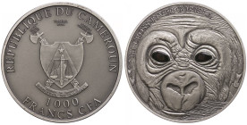 Kamerun
 2013 1.000 Francs, Baby Gorilla, 1 Unze Silber, Antik finish, Real Eye Effect, Etui mit OVP und Zertifikat, st. Auflage nur 1000 Stück.