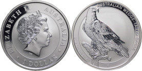 1 Dollaro 2016 - Australia - Regina Elisabetta (1966 - 2022) - Aquila Codacuneata - 1 OZ Ag. 999 - KM# 2219

FDC 

SPEDIZIONE IN TUTTO IL MONDO - ...
