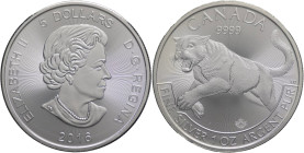 5 Dollari 2016 - Canada - Regina Elisabetta II (1966 - 2022) - Serie Predatori: Puma - 1 OZ Ag. 999 - Royal Canadian Mint 

FDC 

SPEDIZIONE IN TU...